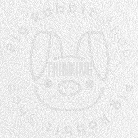 ZICO THINKING - Pig Rabbit Shop Kpop store Spain